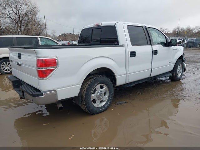 1FTFW1ET1EKF30667 Ford F-150 Xlt