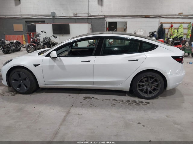 Tesla Model 3 Rear-wheel Drive 2023 5YJ3E1EA3PF568406 Image 13