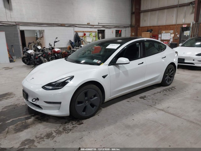 2023 TESLA MODEL 3 5YJ3E1EA3PF568406 Photo 1