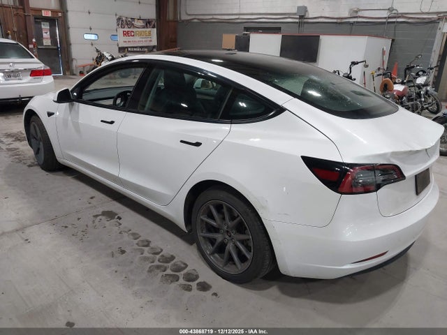 2023 TESLA MODEL 3 5YJ3E1EA3PF568406 Photo 2