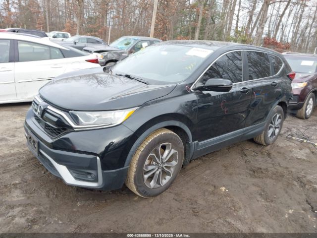 2020 HONDA CR-V 5J6RW1H8XLL013454 Photo 1