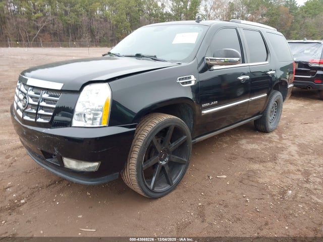 2010 CADILLAC ESCALADE 1GYUCCEF9AR246737 Photo 1