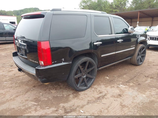 2010 CADILLAC ESCALADE 1GYUCCEF9AR246737 Photo 3