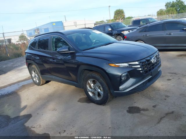 2024 HYUNDAI TUCSON 5NMJBCDEXRH328495