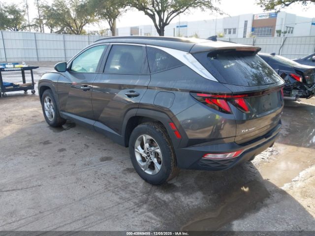2024 HYUNDAI TUCSON 5NMJBCDEXRH328495 Photo 2