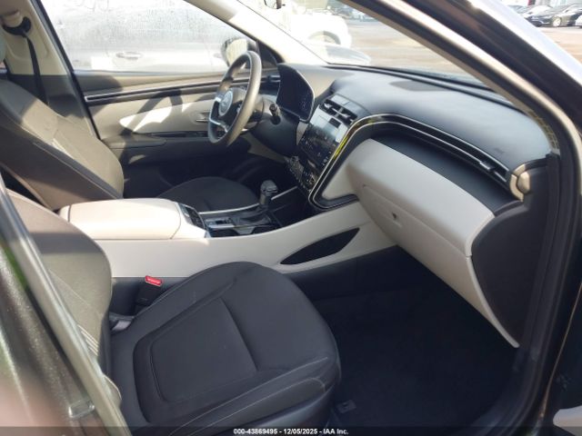 2024 HYUNDAI TUCSON 5NMJBCDEXRH328495 Photo 4
