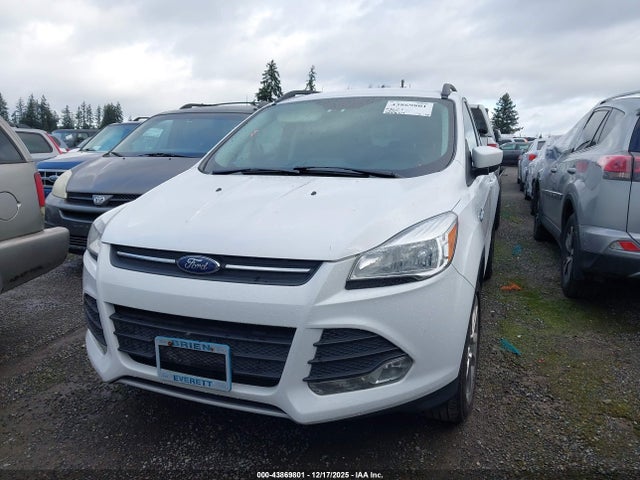 Ford ESCAPE SE 2016 1FMCU9G98GUC44780 Image 12