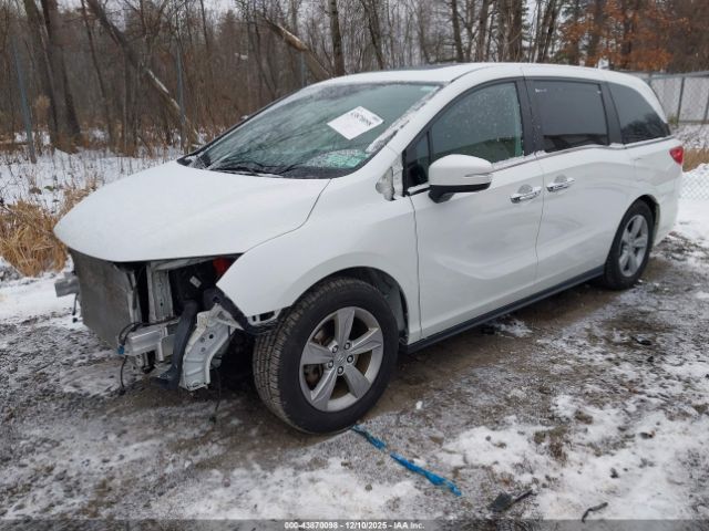 2020 HONDA ODYSSEY 5FNRL6H79LB011183 Photo 1