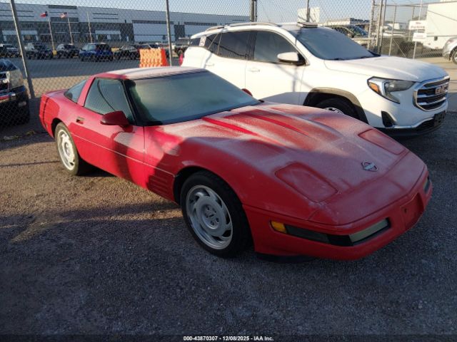 1992 CHEVROLET CORVETTE 1G1YY23P7N5102396