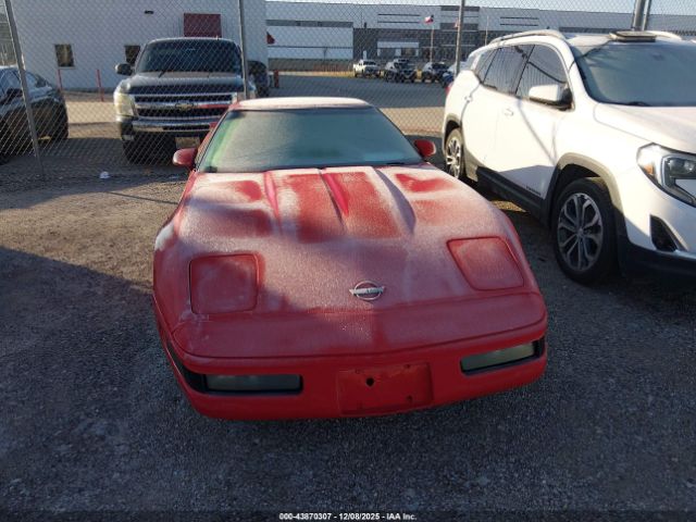 1992 CHEVROLET CORVETTE 1G1YY23P7N5102396 Photo 5