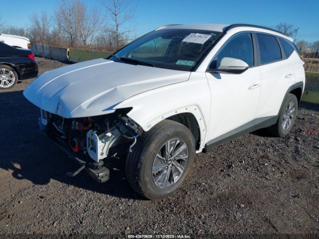 2022 HYUNDAI TUCSON HYBRID KM8JBCA19NU030942 Photo 1