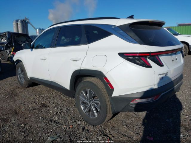 2022 HYUNDAI TUCSON HYBRID KM8JBCA19NU030942 Photo 2