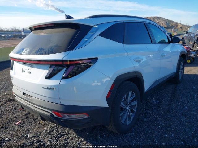 2022 HYUNDAI TUCSON HYBRID KM8JBCA19NU030942 Photo 3