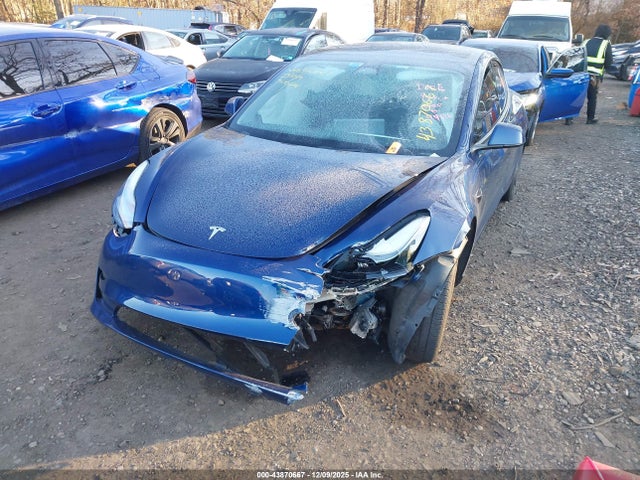 2023 TESLA MODEL 3 5YJ3E1EA1PF414650 Photo 5