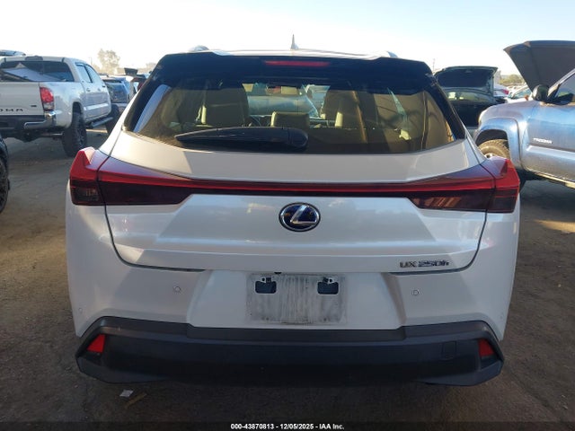 JTHX9JBH1M2043915 Lexus UX 250H