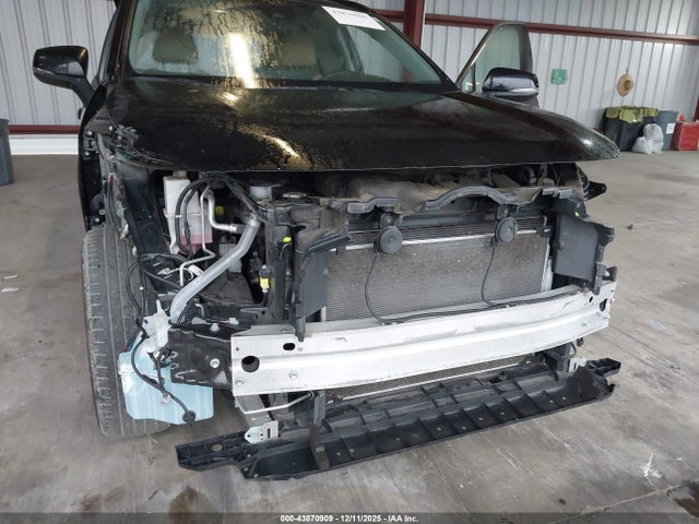Toyota Rav4 Xle 2023 2T3W1RFV5PC235774 Image 6