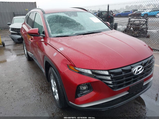 Hyundai TUCSON SEL 2024 5NMJB3DE4RH419102 Image 6