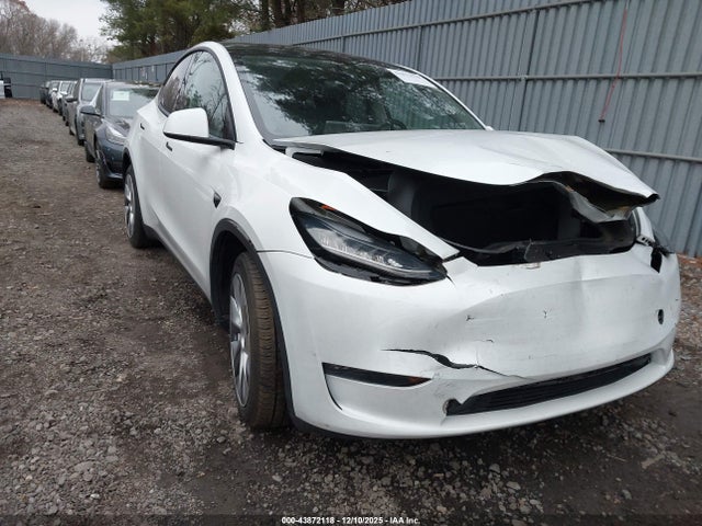 2023 TESLA MODEL Y 7SAYGDEE6PA124988 Photo 0