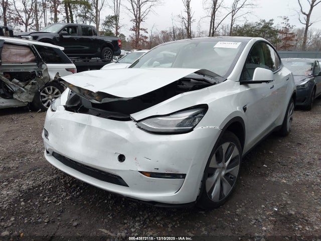 2023 TESLA MODEL Y 7SAYGDEE6PA124988 Photo 1