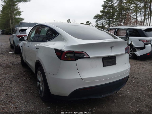 2023 TESLA MODEL Y 7SAYGDEE6PA124988 Photo 2