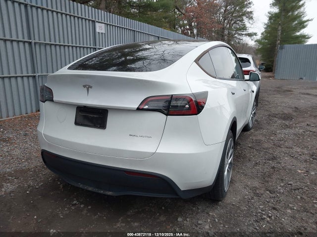 2023 TESLA MODEL Y 7SAYGDEE6PA124988 Photo 3