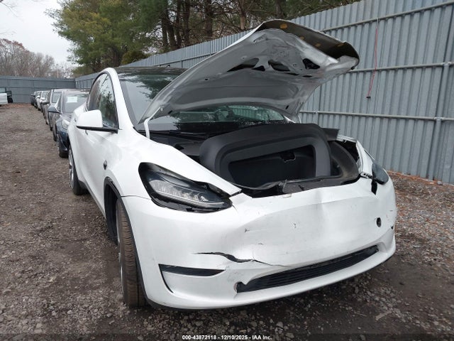 2023 TESLA MODEL Y 7SAYGDEE6PA124988 Photo 5