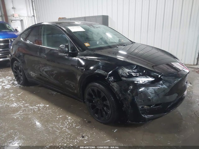 2020 TESLA MODEL Y 5YJYGDEE3LF036846 Photo 0