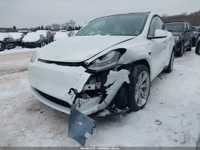 2023 TESLA MODEL Y 7SAYGDEE0PF609758 Photo 1