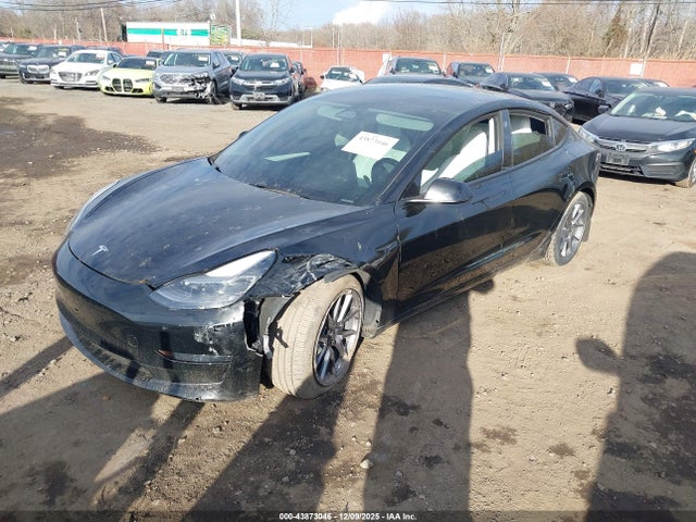 2023 TESLA MODEL 3 5YJ3E1EA0PF552020 Photo 5