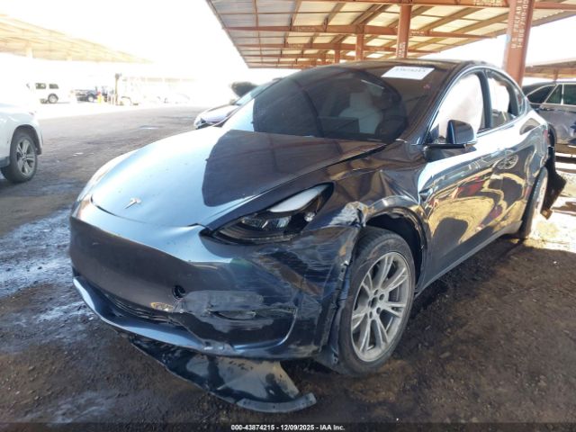 2024 TESLA MODEL Y 7SAYGDEE2RF087962 Photo 1