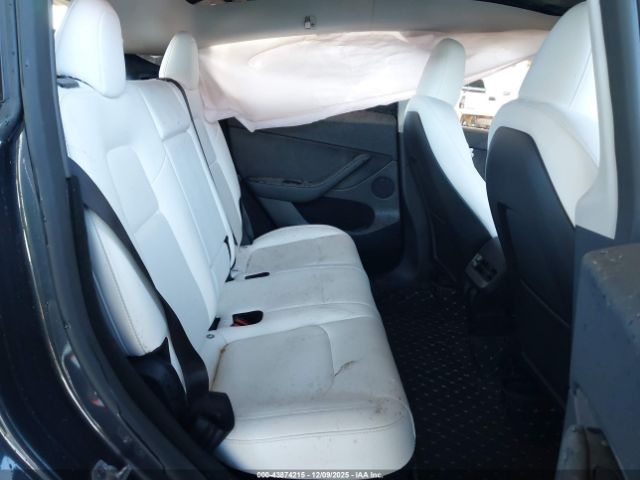 2024 TESLA MODEL Y 7SAYGDEE2RF087962 Photo 7