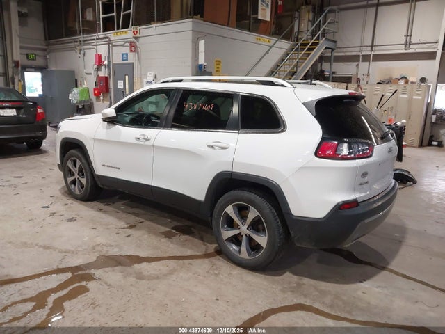Jeep Cherokee Limited 4x4 2019 1C4PJMDX8KD306000 Image 3