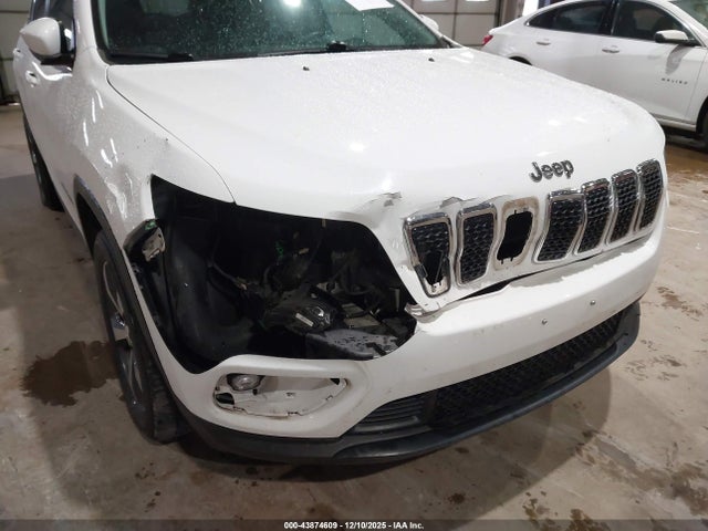 Jeep Cherokee Limited 4x4 2019 1C4PJMDX8KD306000 Image 6