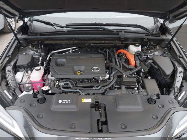 2024 LEXUS NX 350H JTJHKCEZ8R2030710 Photo 9