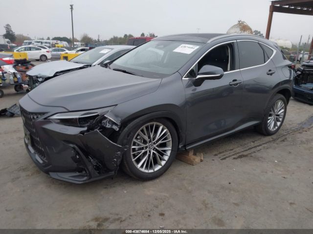 2024 LEXUS NX 350H JTJHKCEZ8R2030710 Photo 1