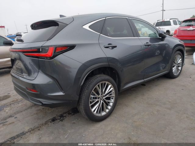 2024 LEXUS NX 350H JTJHKCEZ8R2030710 Photo 3