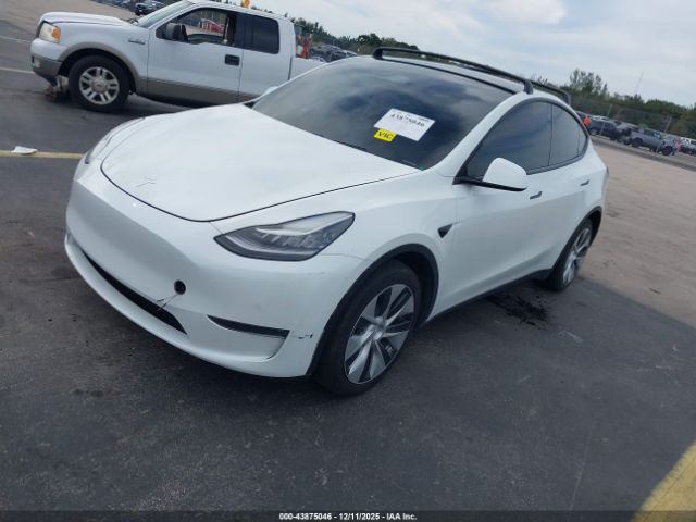 2021 TESLA MODEL Y 5YJYGDEE1MF077526 Photo 1