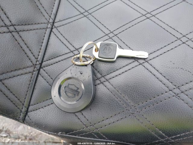 2020 HARLEY-DAVIDSON FXST 1HD1BVJ19LB063611 Photo 10