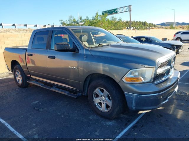 2009 DODGE RAM 1500 1D3HB13P69S755917