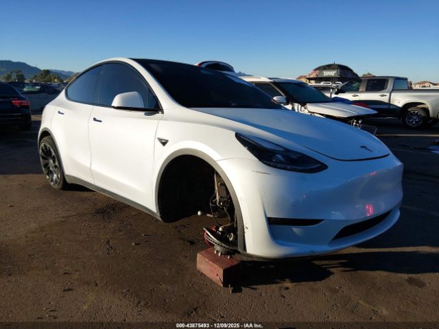 2022 TESLA MODEL Y 7SAYGDEF5NF403843