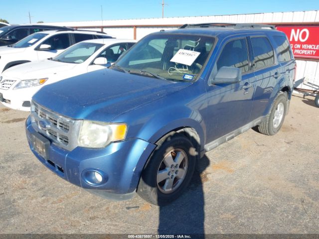 2009 FORD ESCAPE 1FMCU93G49KA80303 Photo 1