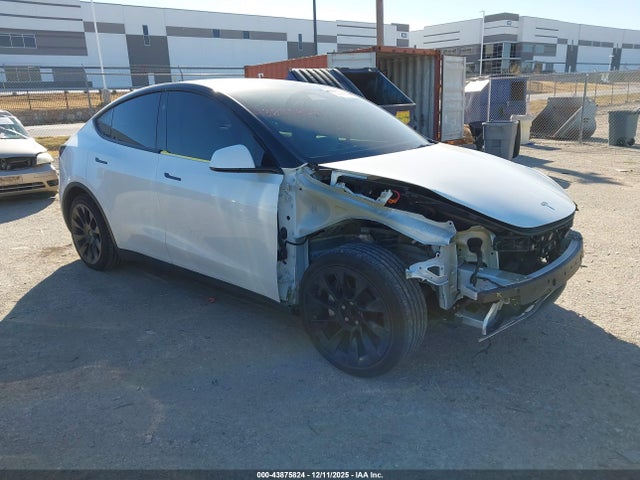 2024 TESLA MODEL Y 7SAYGDED5RF095433 Photo 0