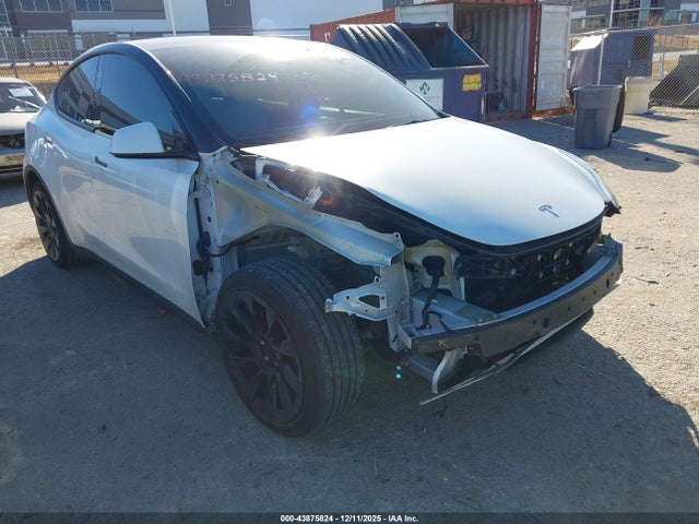 2024 TESLA MODEL Y 7SAYGDED5RF095433 Photo 5