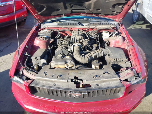 2005 FORD MUSTANG 1ZVFT80N855167404 Photo 9