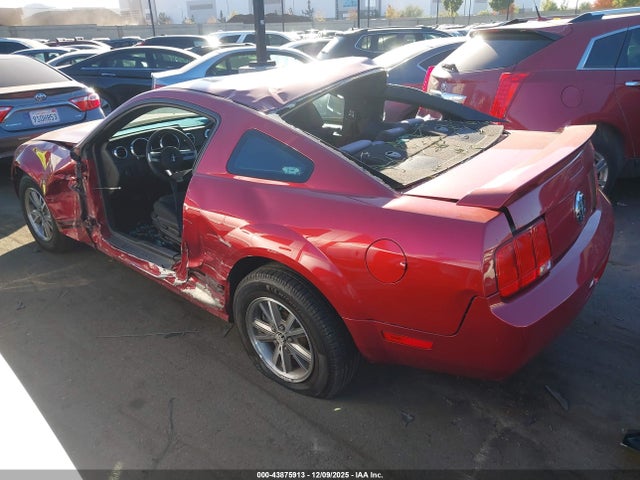 2005 FORD MUSTANG 1ZVFT80N855167404 Photo 2