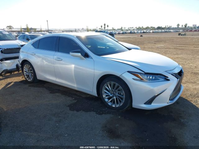 2019 LEXUS ES 350 58ABZ1B16KU037211
