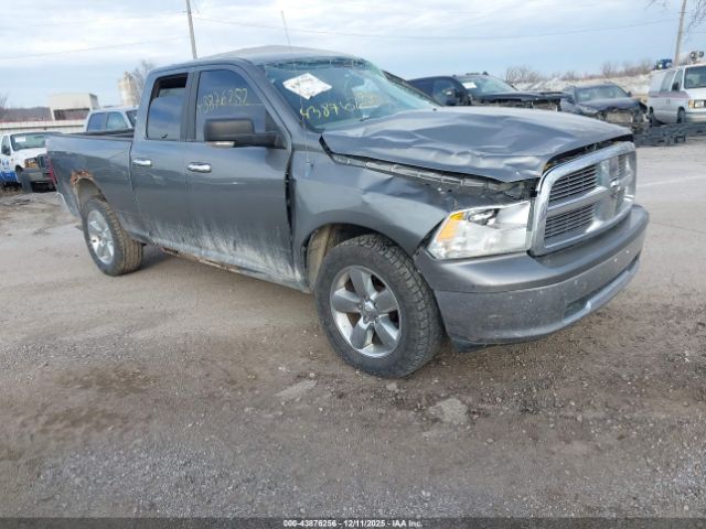 2010 DODGE RAM 1500 1D7RV1GP9AS130243
