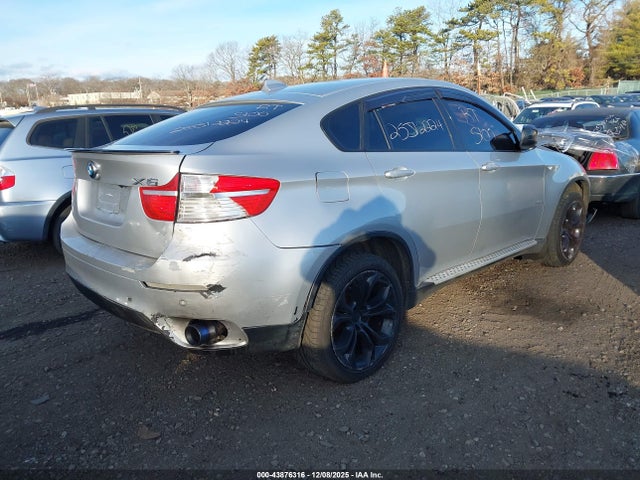2009 BMW X6 5UXFG43519L224277 Photo 3