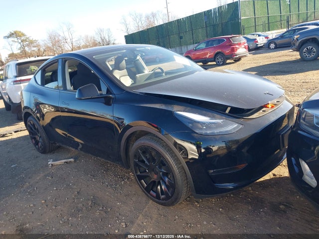 2023 TESLA MODEL Y 7SAYGDEE7PF882745 Photo 0