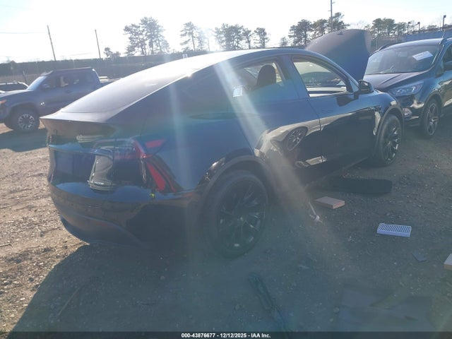 2023 TESLA MODEL Y 7SAYGDEE7PF882745 Photo 3